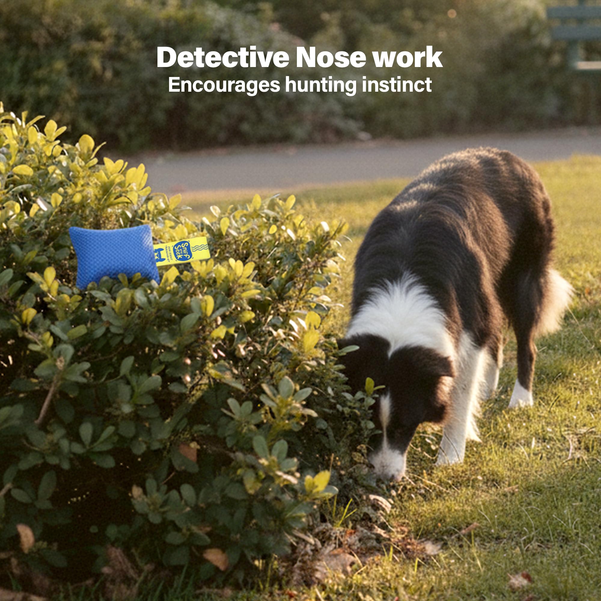 Race&Herd Original Dog Scent Training Kit sniffing toys for enrichment.