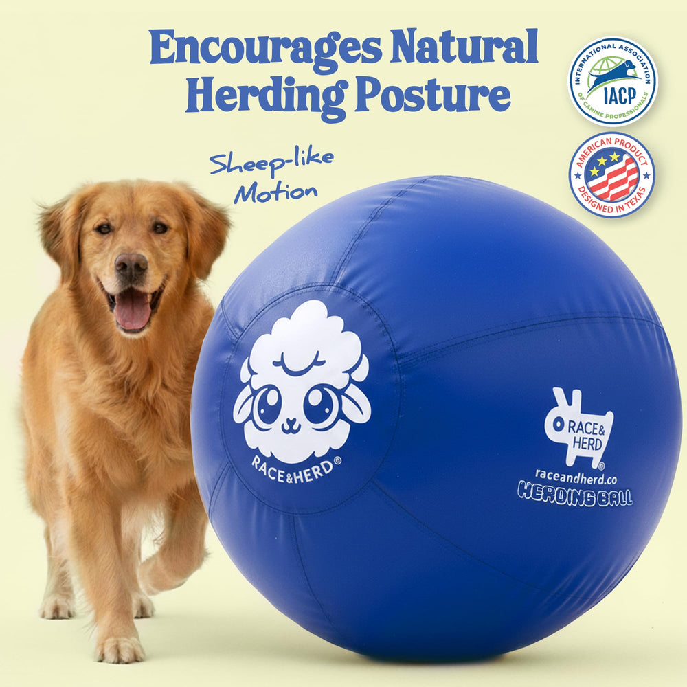 Race&Herd XXL blue herding ball close up texture highlights rugged construction for chewing