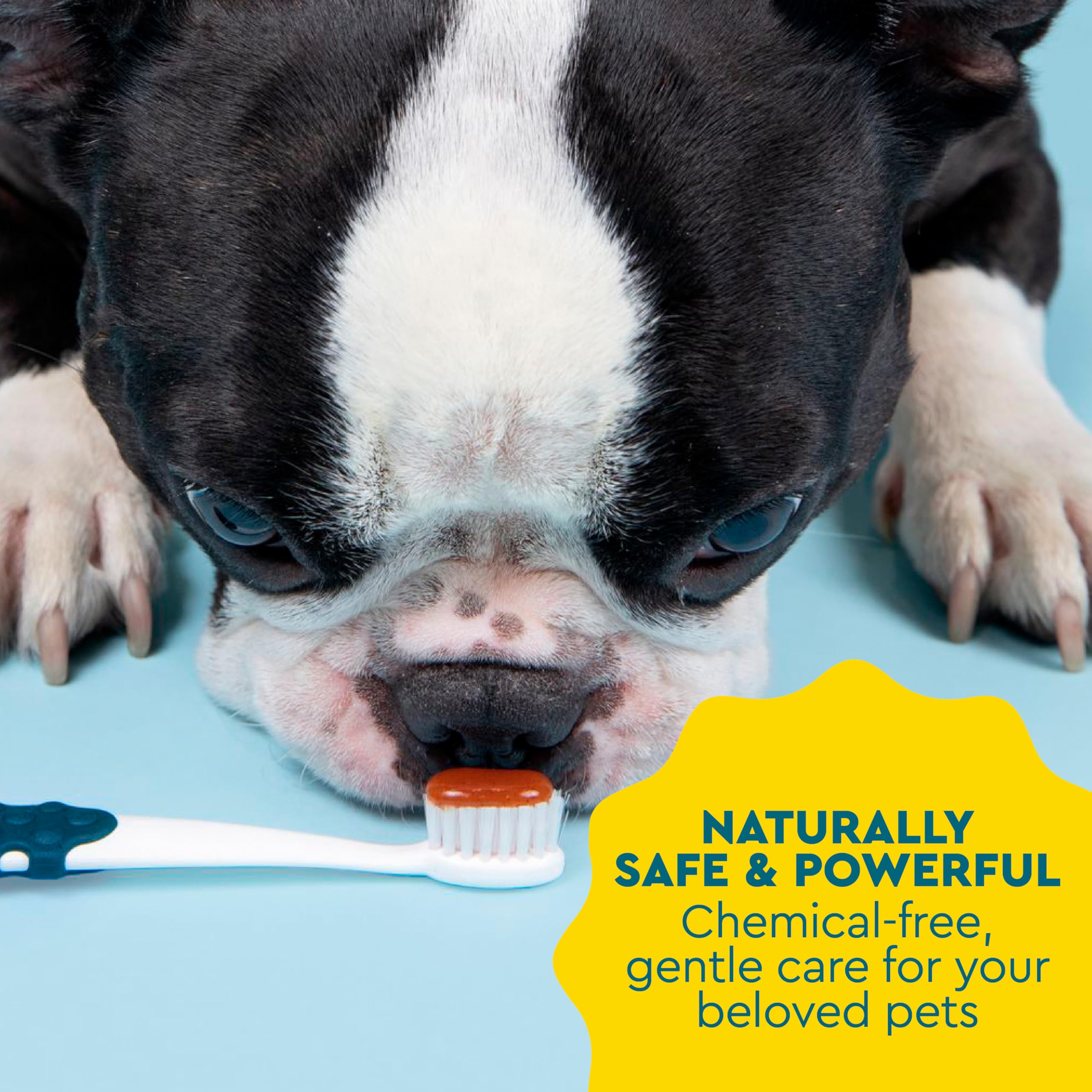 RADIUS canine toothpaste fresh breath concept for lingering canine freshness.