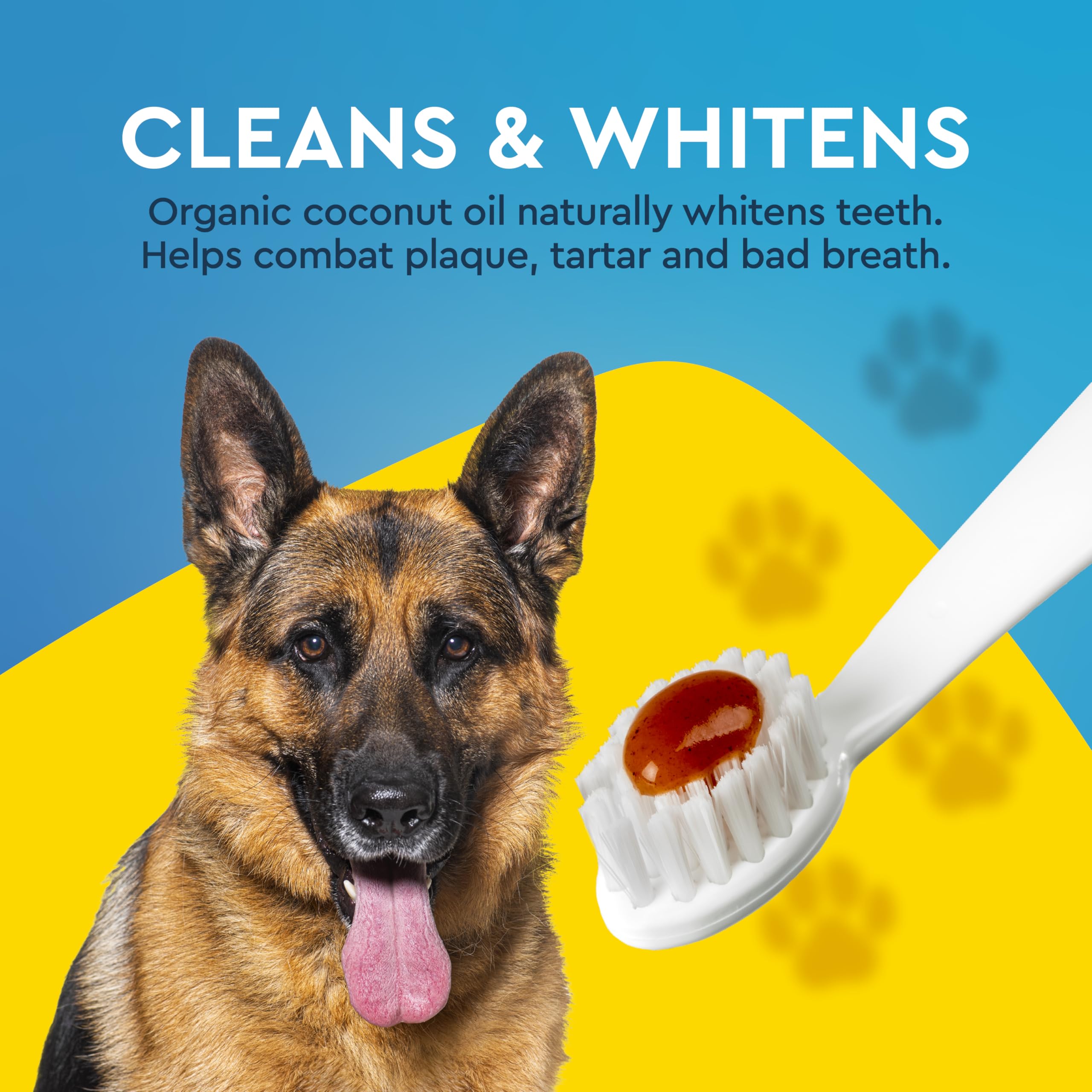 RADIUS canine toothpaste on dog smile illustrating tartar prevention potential with gentle cleaning.