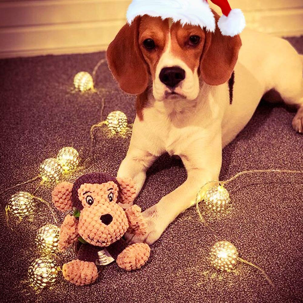 Raffaelo dog toy training-reward-gift offers positive reinforcement during daily routines.