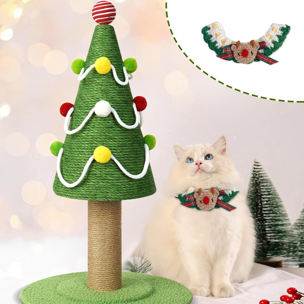 RAIN QUEEN dangling toy area demonstrates interactive play and engagement