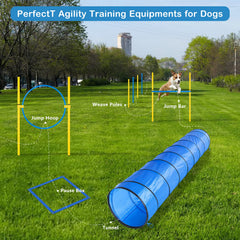 RAIN QUEEN agility poles with ground nails for stable obstacle setup