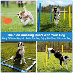 RAIN QUEEN adjustable high jump suitable for dogs of all sizes