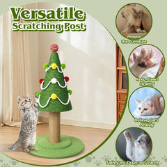 RAIN QUEEN soft base carpet detail provides paw-friendly comfort