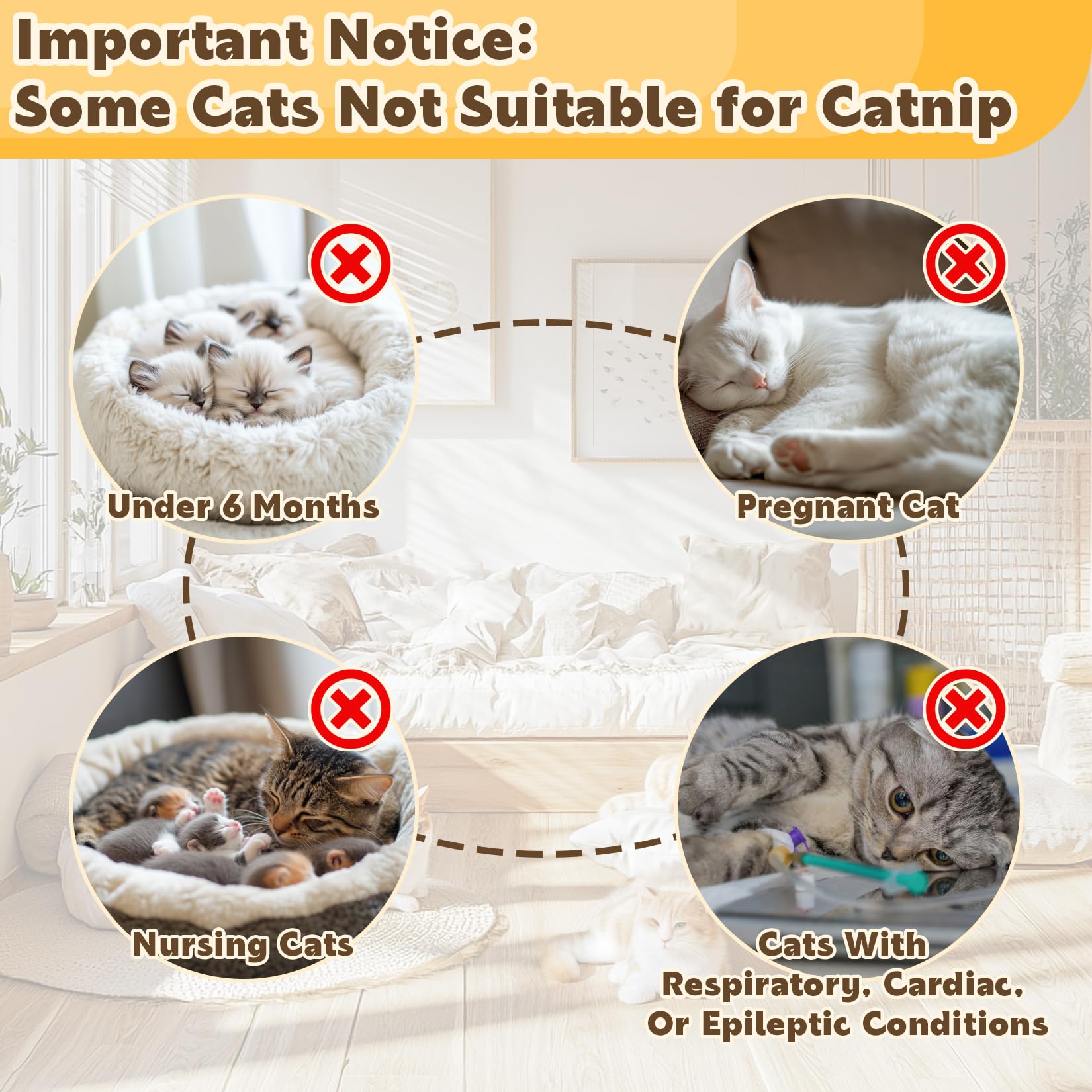 RAINFLOW catnip for indoor cats suggests calm moments after activity.