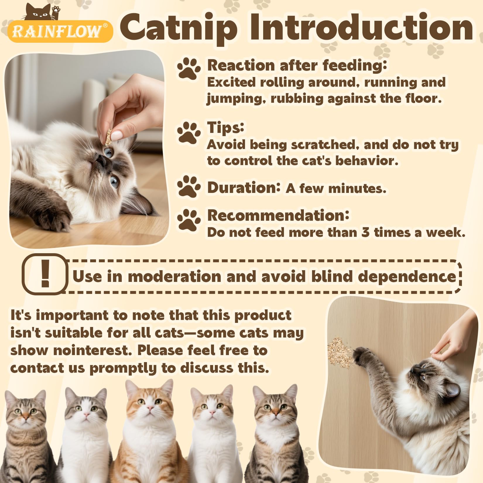 RAINFLOW catnip natural herb emphasizes additive-free quality for safe fun.