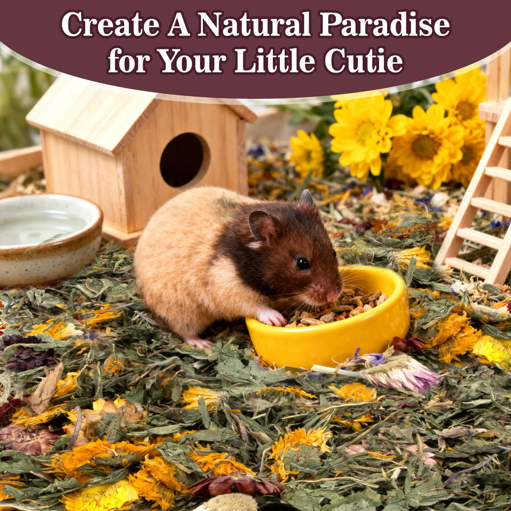RAINFLOW Dandelion Delicacy dried herbs bedding mix for calming habitat.
