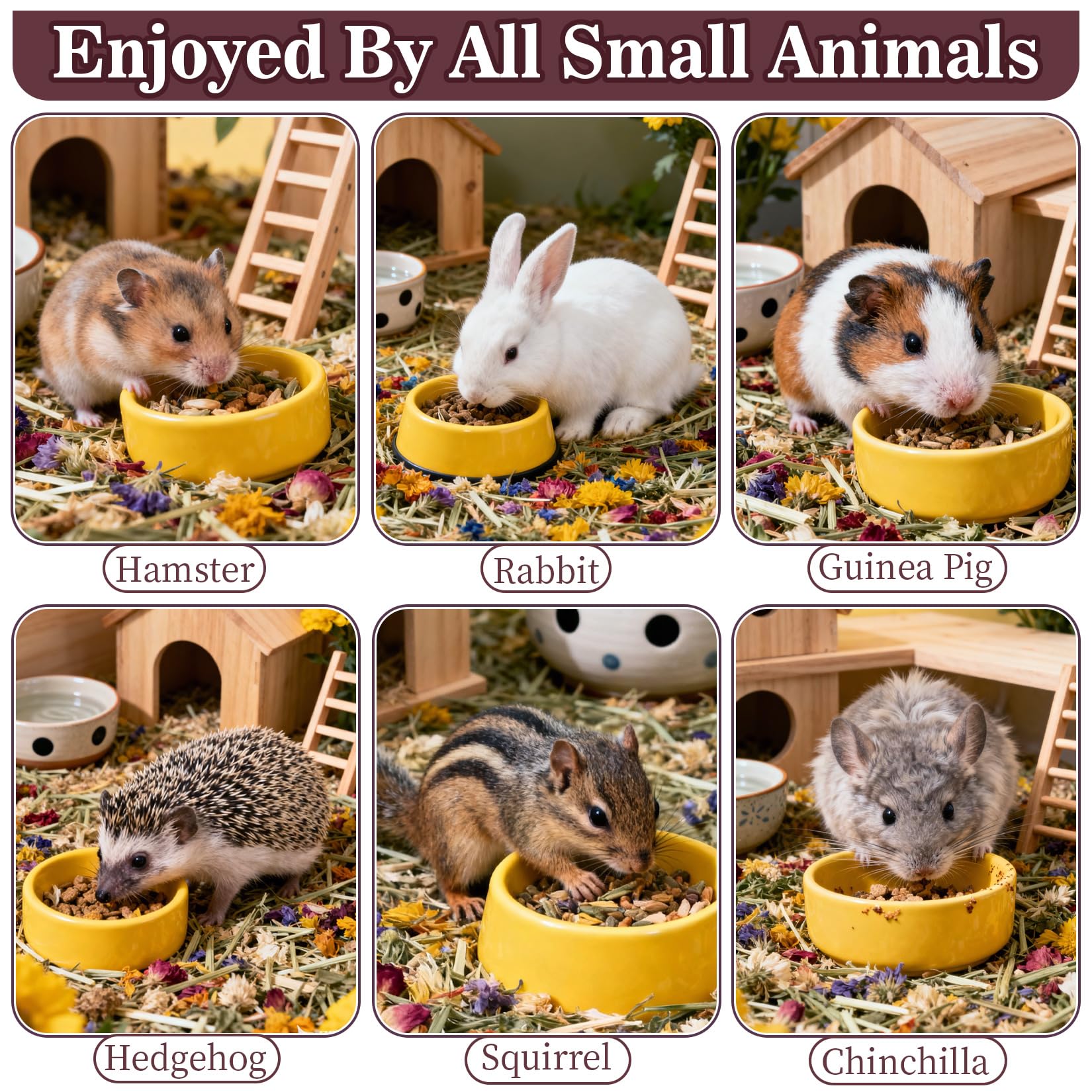 RAINFLOW Dandelion Delicacy nutrition-rich blend supporting bone vitality in small pets.
