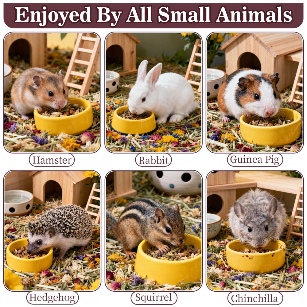 RAINFLOW Dandelion Delicacy nutrition-rich blend supporting bone vitality in small pets.