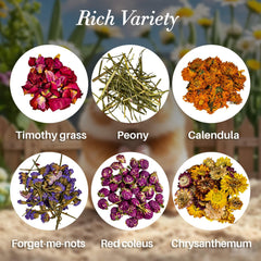 RAINFLOW bedding with colorful dried flora enhances habitat decor while supporting enrichment and exploration