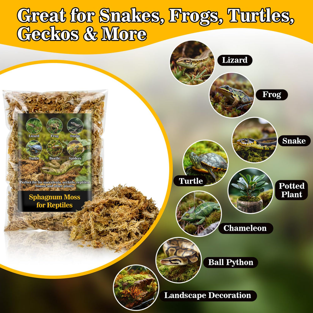 RAINFLOW sphagnum moss substrate egg-laying closeup demonstrates incubation-friendly moisture management.