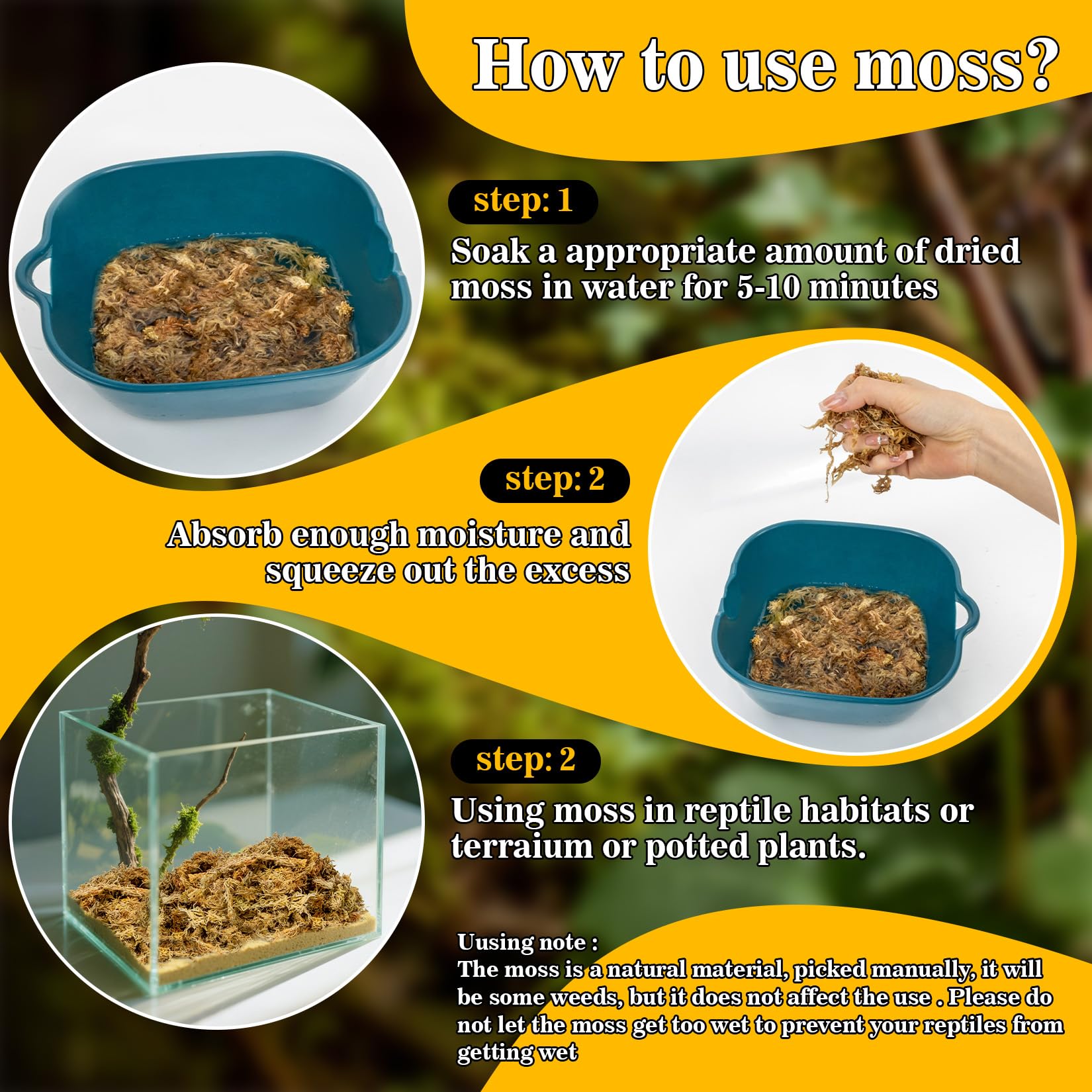 RAINFLOW sphagnum moss nutrient medium for orchids demonstrates versatile plant care use.
