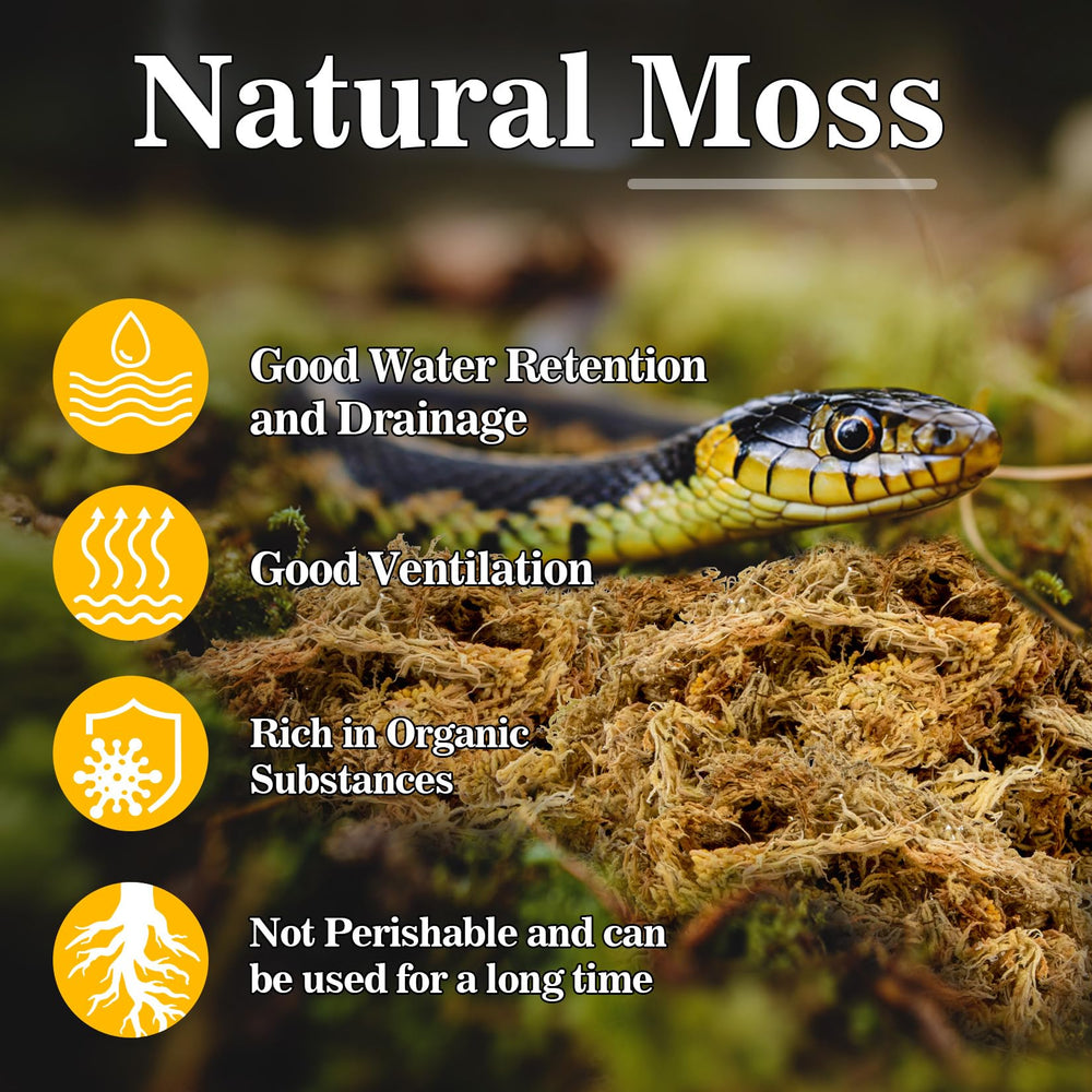 RAINFLOW sphagnum moss reptile bedding terrarium humidity scene highlighting long-lasting moisture.