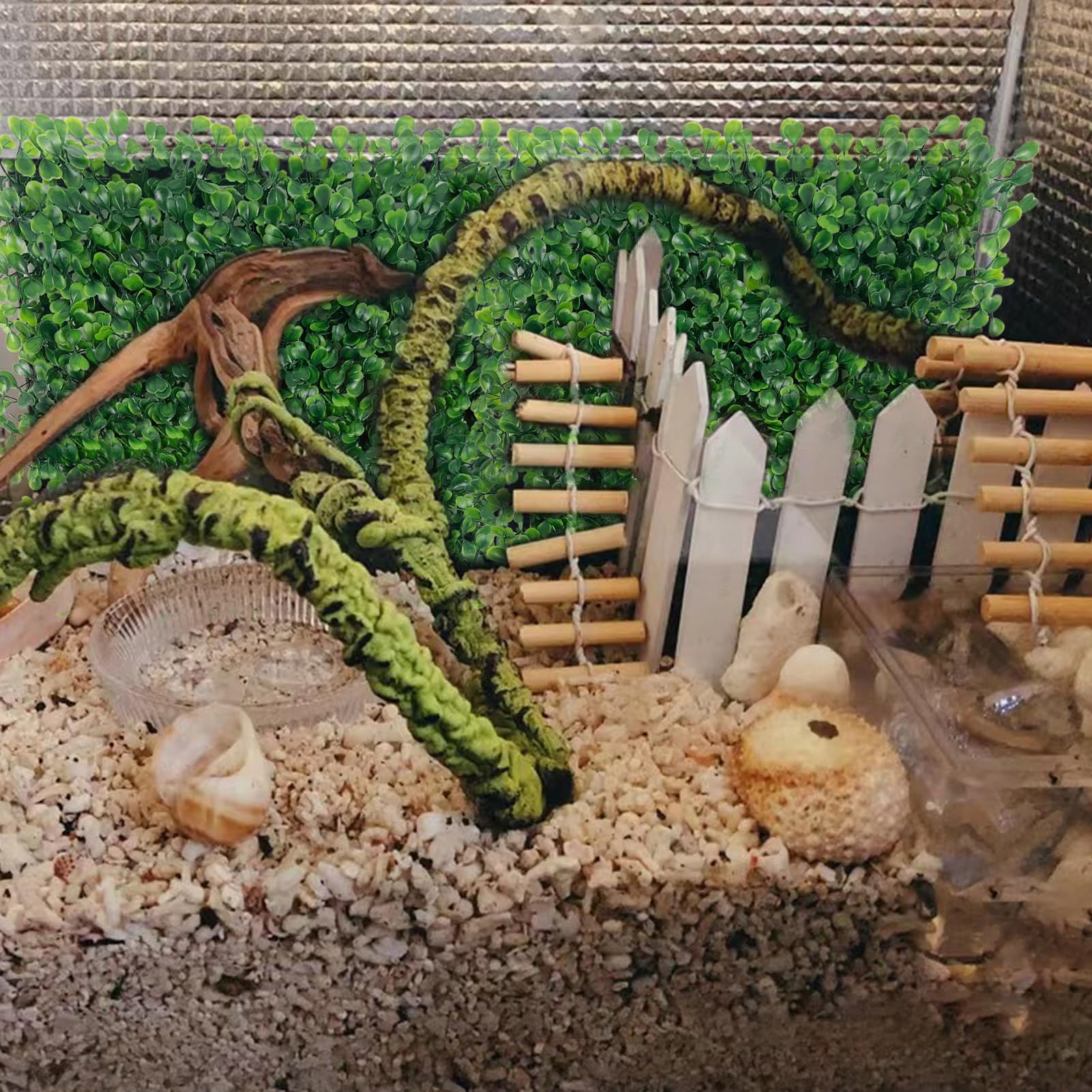Rainmae easy-clean habitat decor rinse and air dry evidence