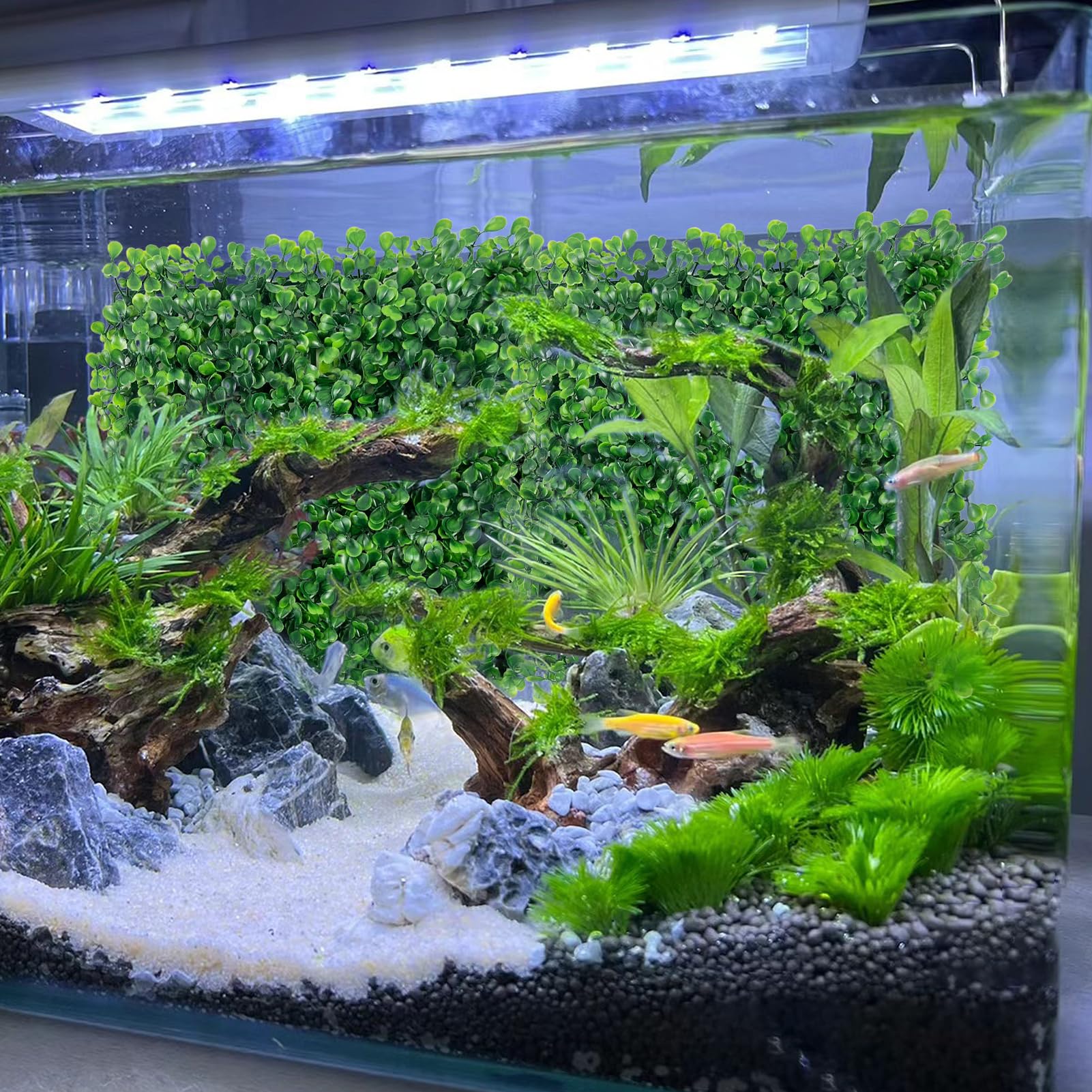 Rainmae 10x10 inch mat demonstrates compact size for small tanks.