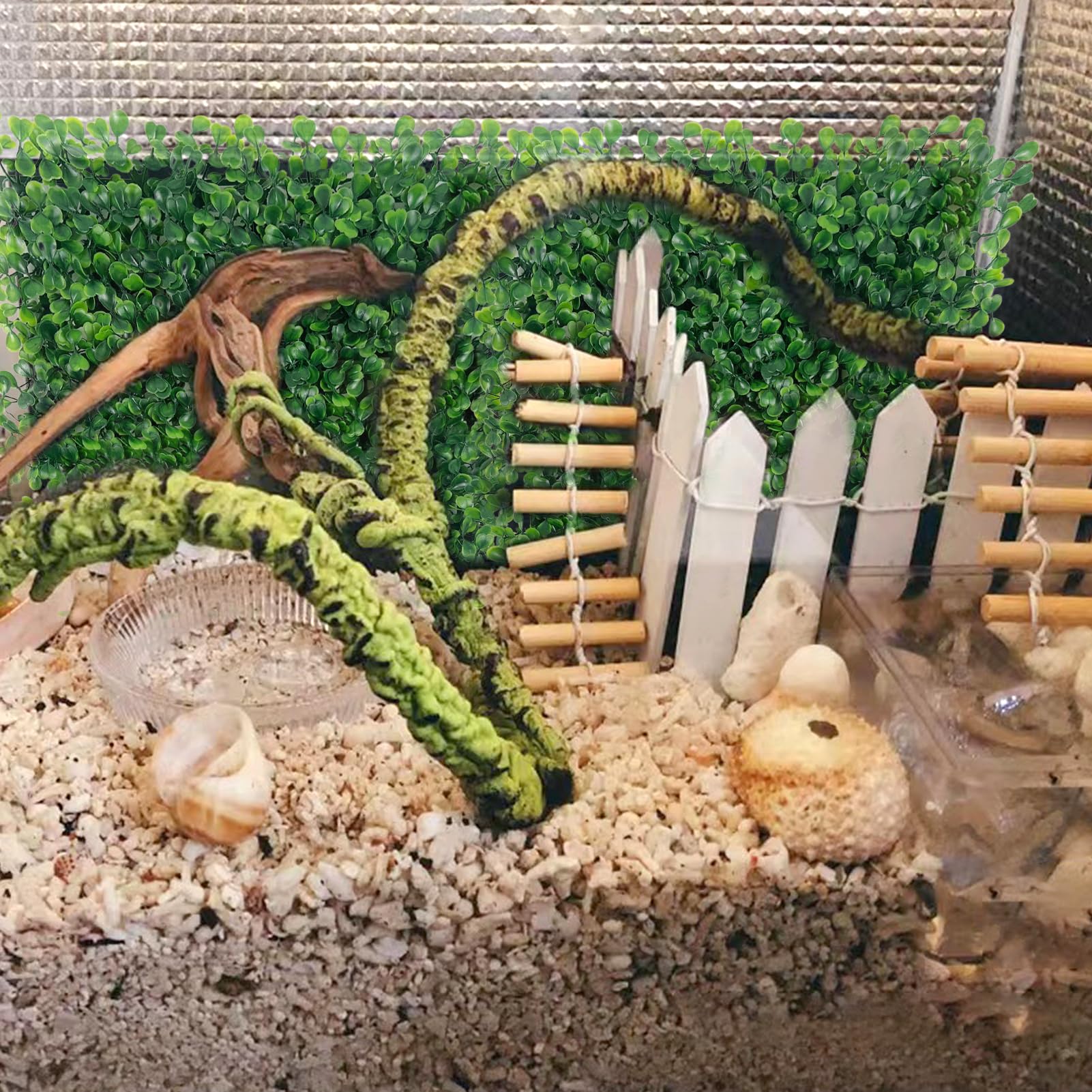 Rainmae tank decor scene with grass mat enhances underwater garden vibe.