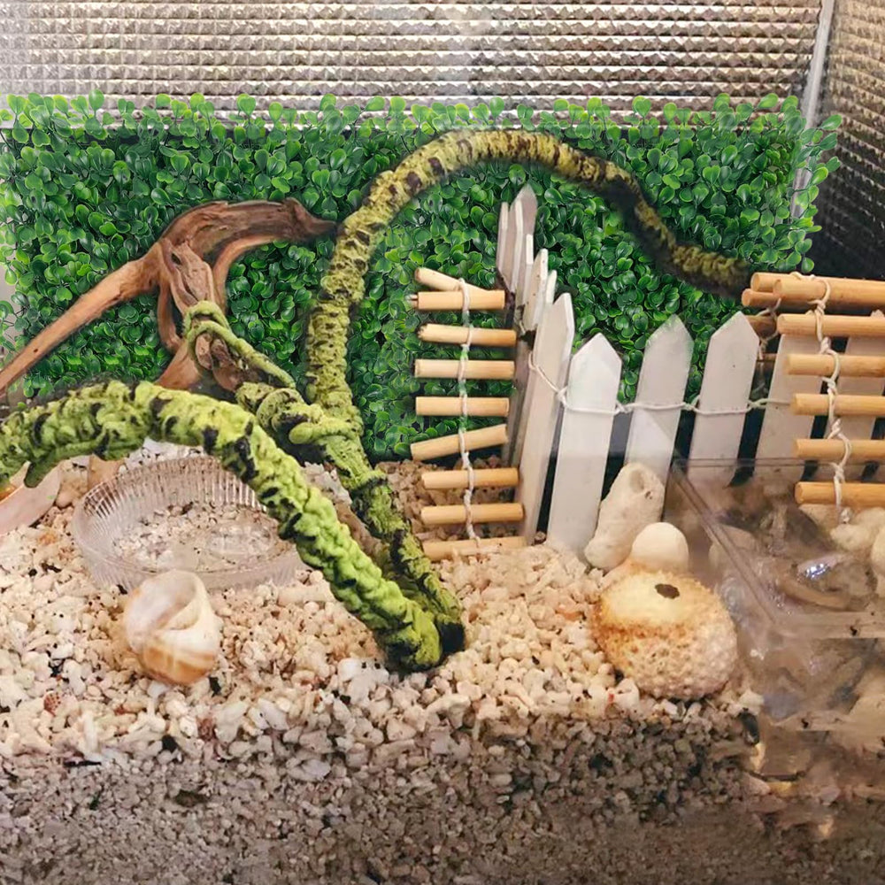 Rainmae tank decor scene with grass mat enhances underwater garden vibe.