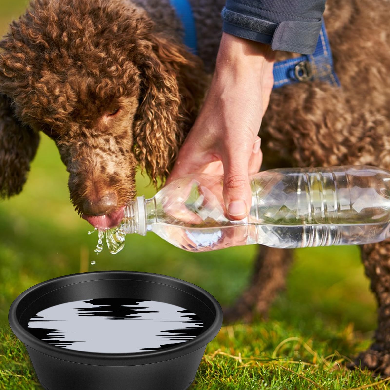 Rainmae rubber feeder pan goat-setup showcases versatile use for goats