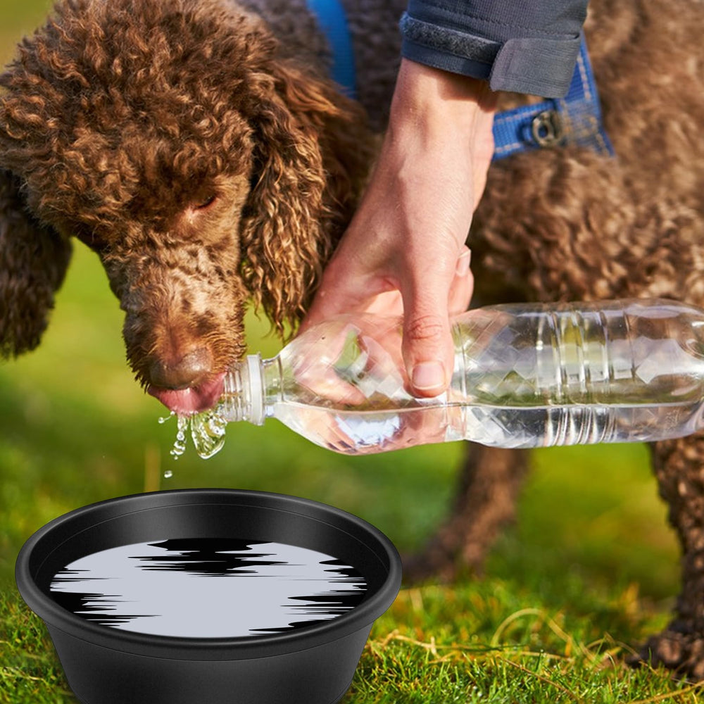 Rainmae rubber feeder pan goat-setup showcases versatile use for goats