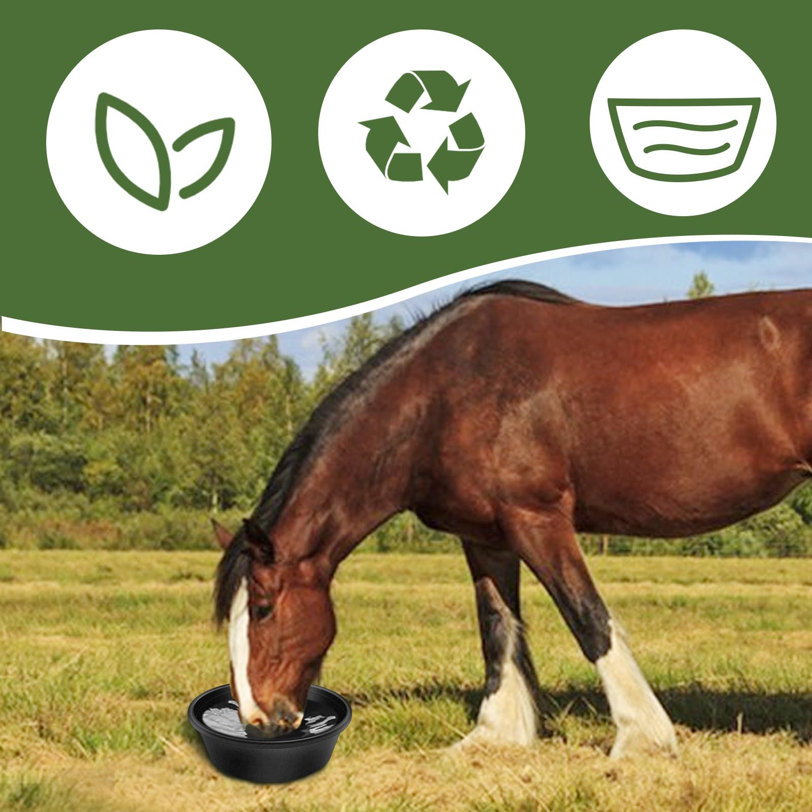 Rainmae rubber feeder pan horse-setup demonstrates large 4-quart capacity for horses