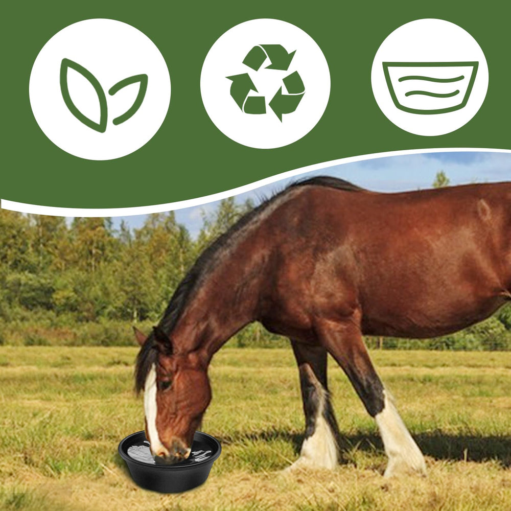 Rainmae rubber feeder pan horse-setup demonstrates large 4-quart capacity for horses