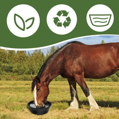 Rainmae rubber feeder pan horse-setup demonstrates large 4-quart capacity for horses