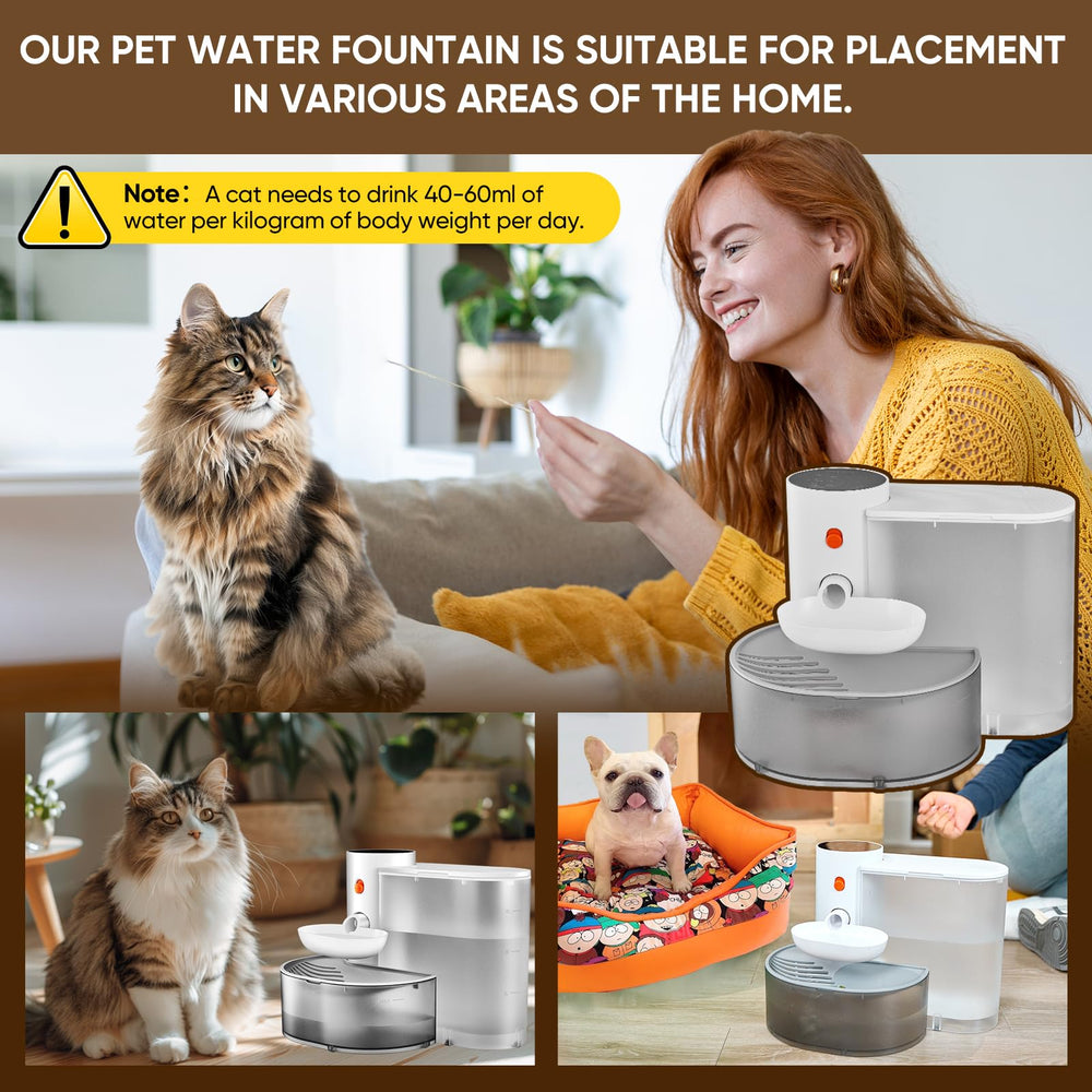 RainPOT automatic pet water fountain suitable for cats and small dogs at home