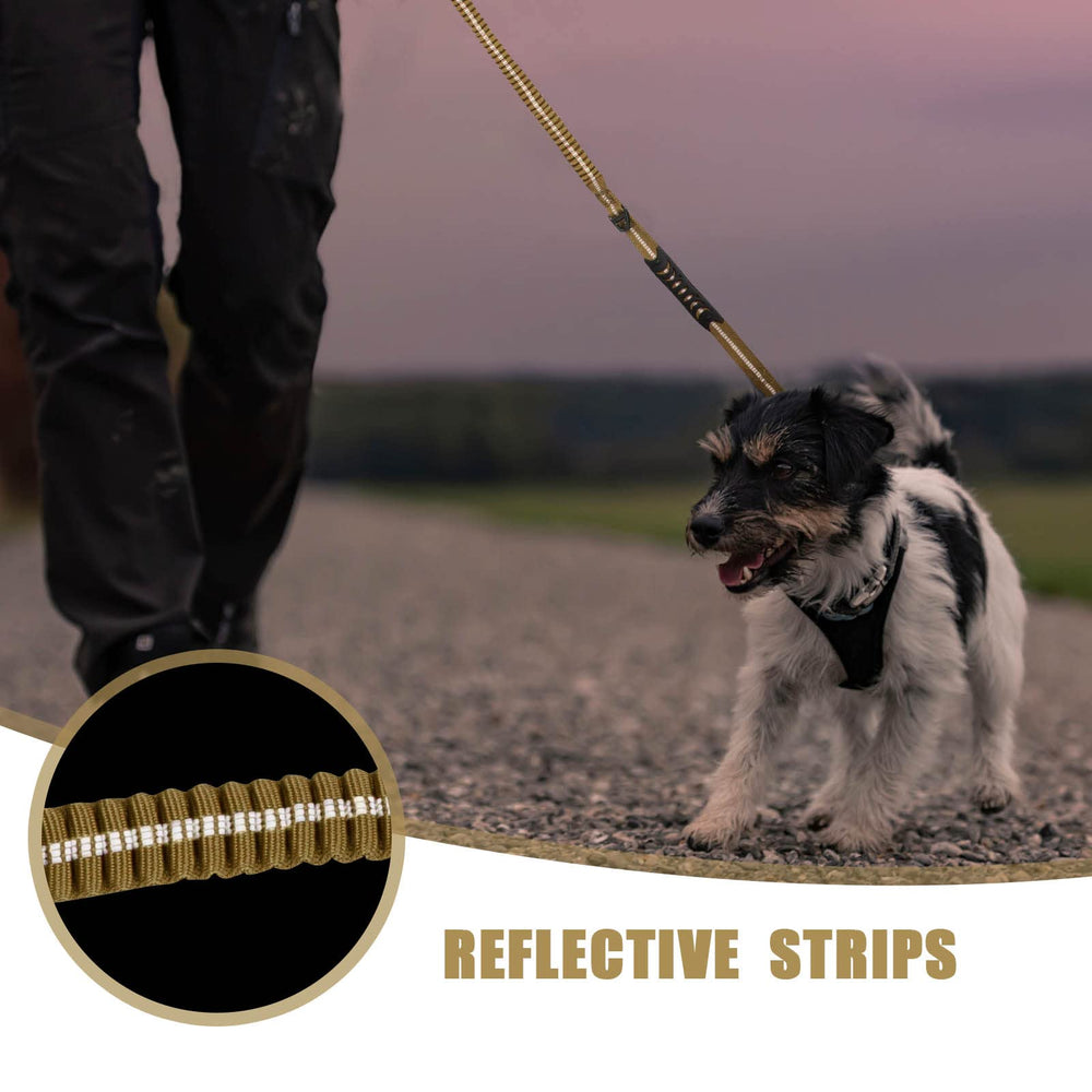 Raipult heavy-duty nylon leash with reinforced stitching for tough daily use