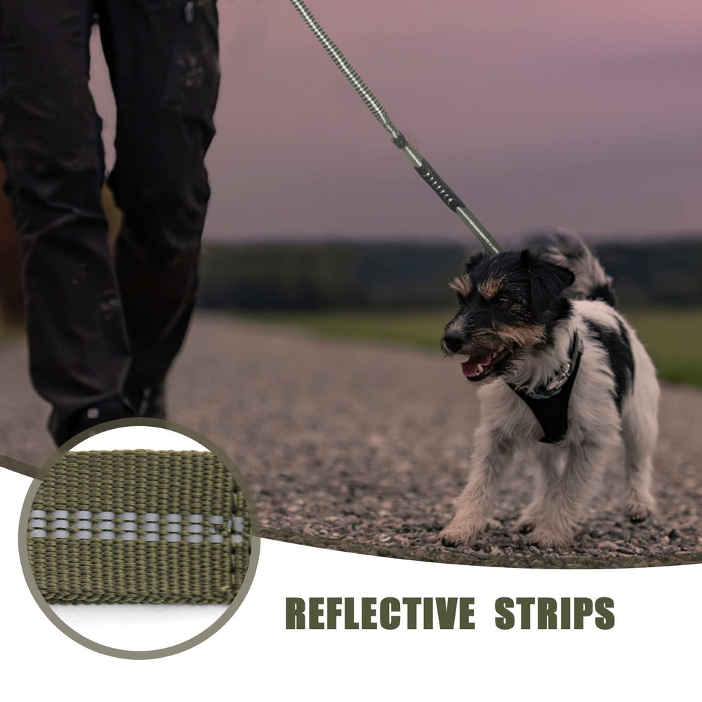 Raipult Tactical Leash D-ring accessory hold keeps essentials within reach.