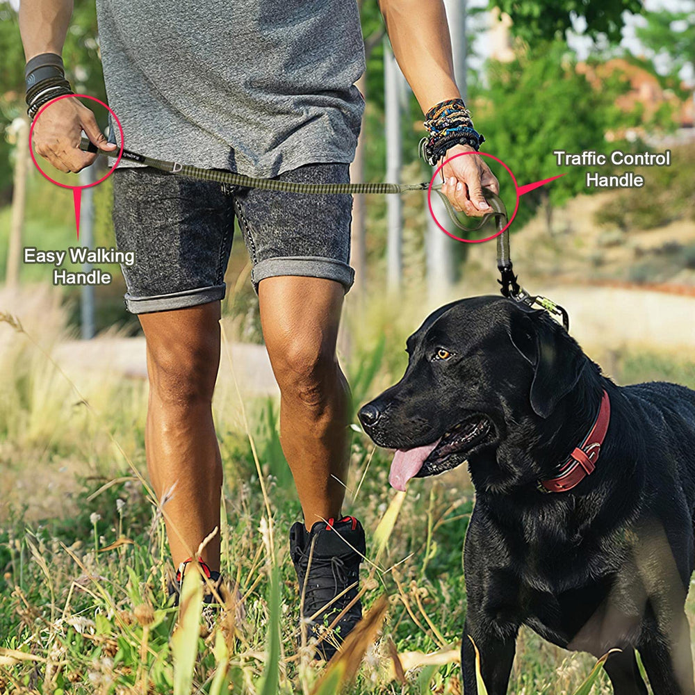 Raipult Tactical Leash sturdy nylon construction stands up to daily wear.
