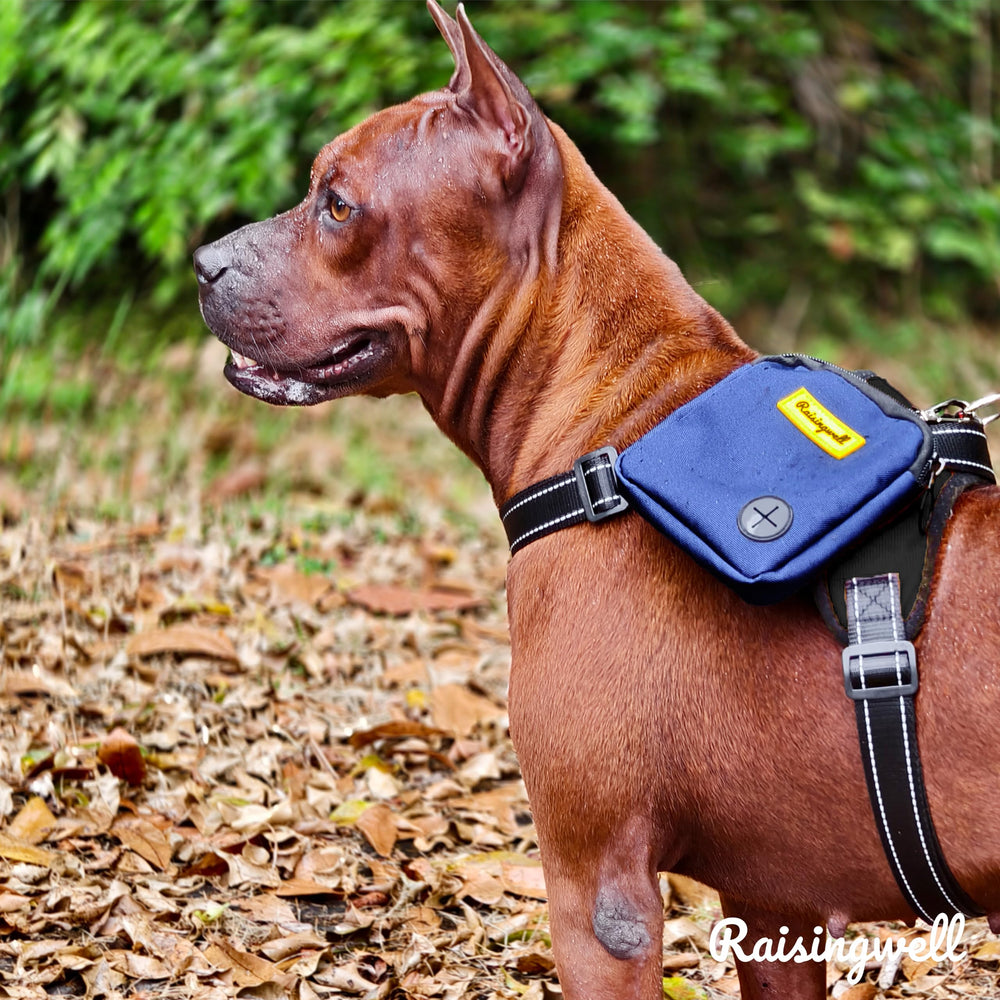 Raisingwell dog treat pouch blue colorful patterns for stylish outings