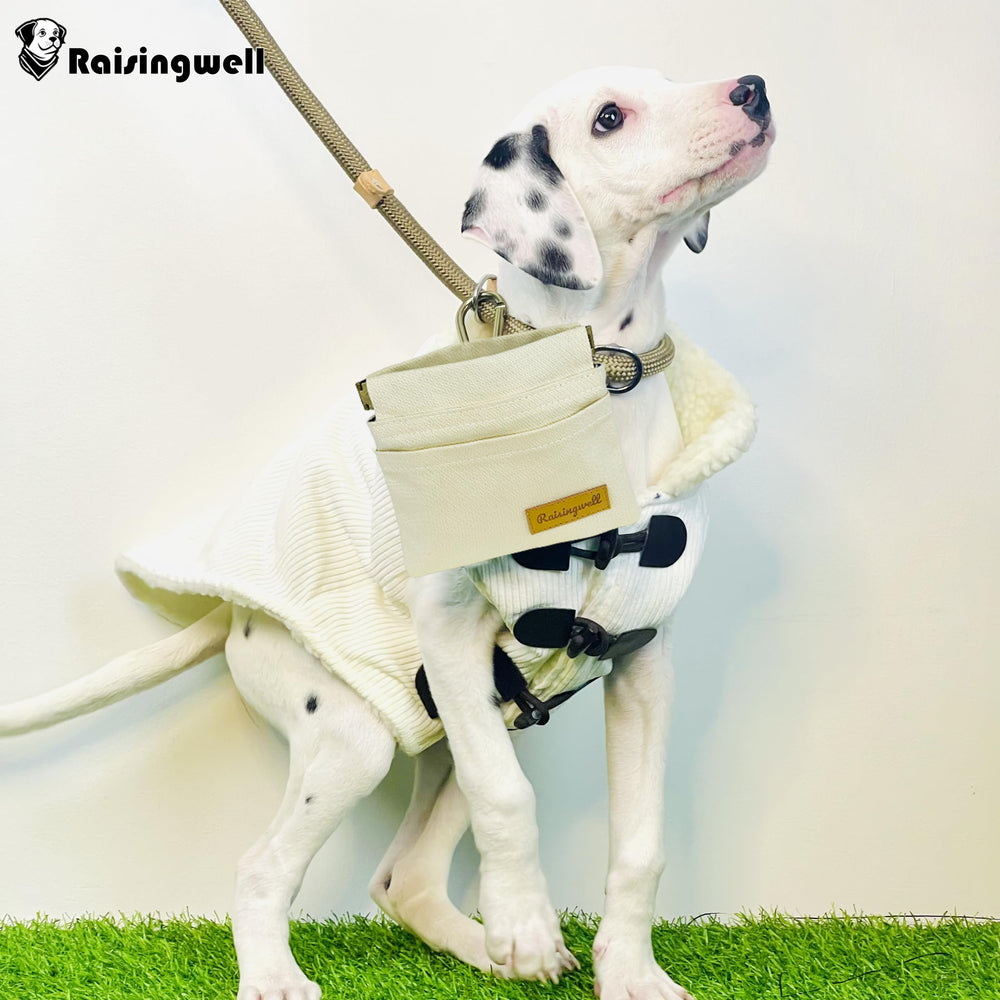 Raisingwell pouch color patterns add vibrant style to short trips