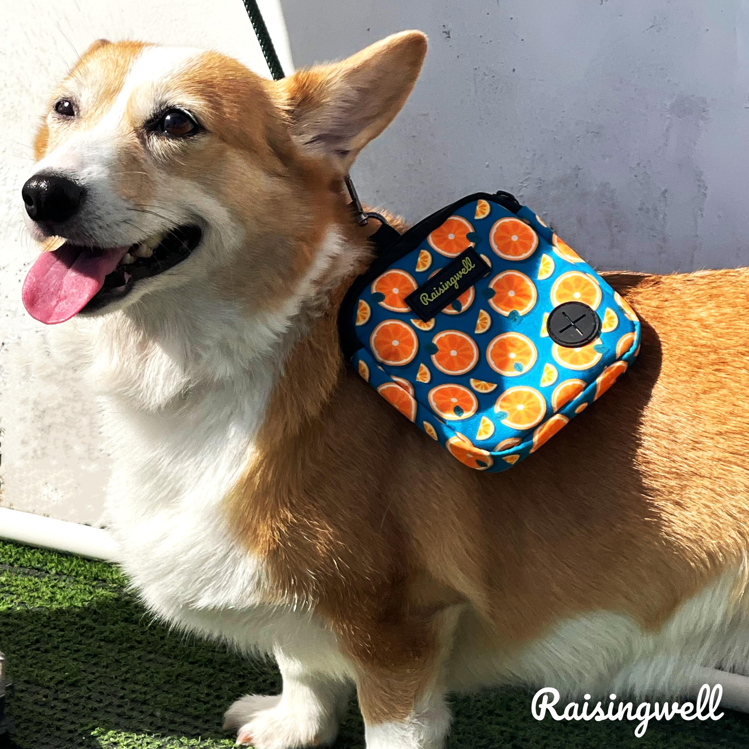 Raisingwell dog treat pouch versatile walking bag fits toys or treats.