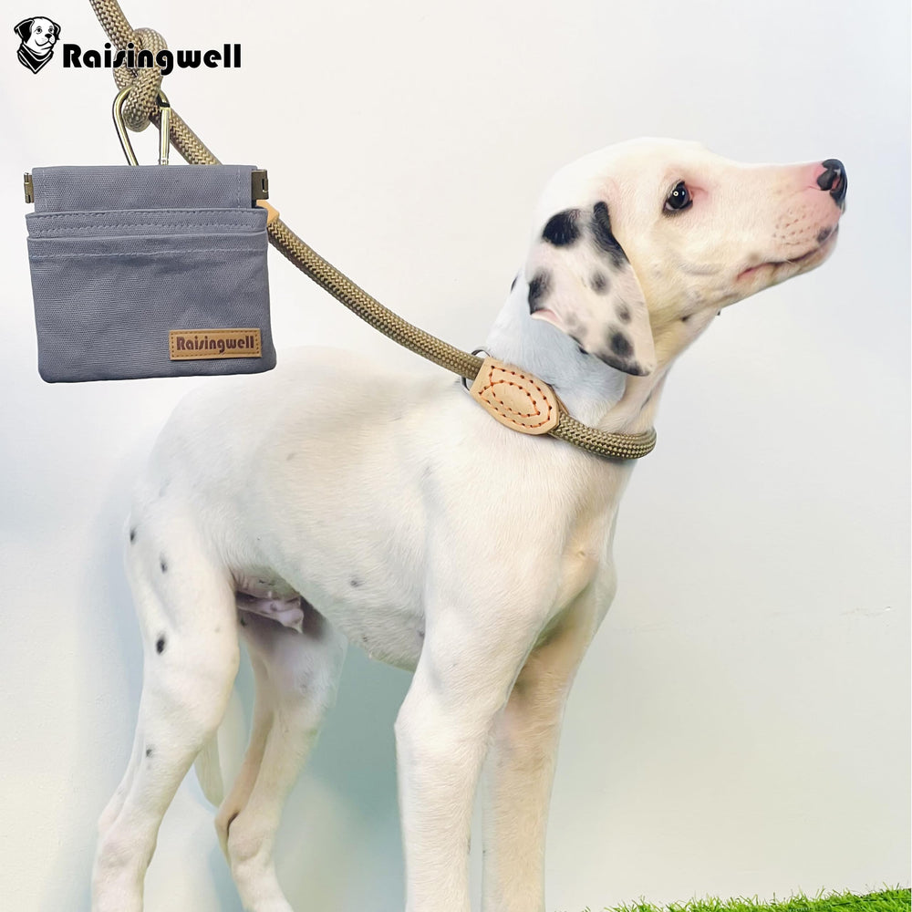 Raisingwell dog treat pouch front storage area holds bags, tissues, or small toys.