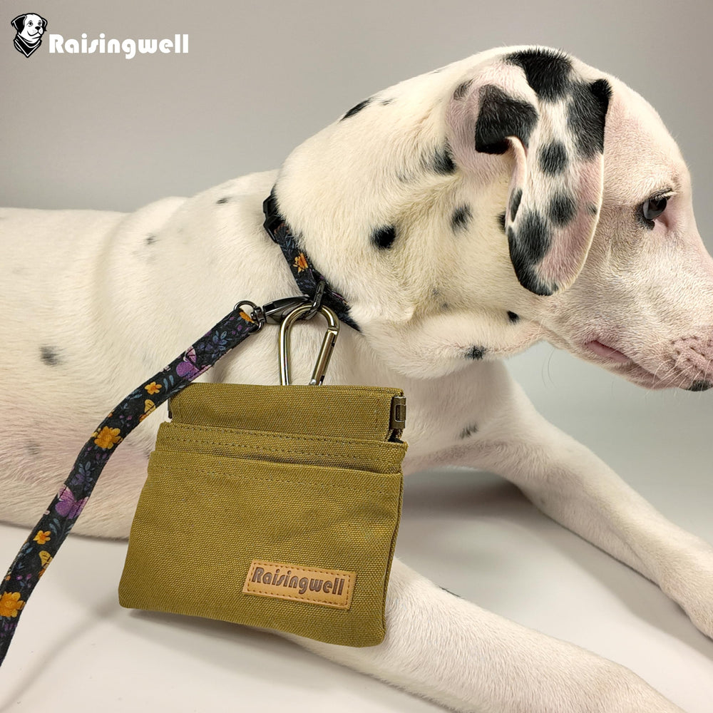 Raisingwell dog treat pouch front pocket storage for bags or tissues