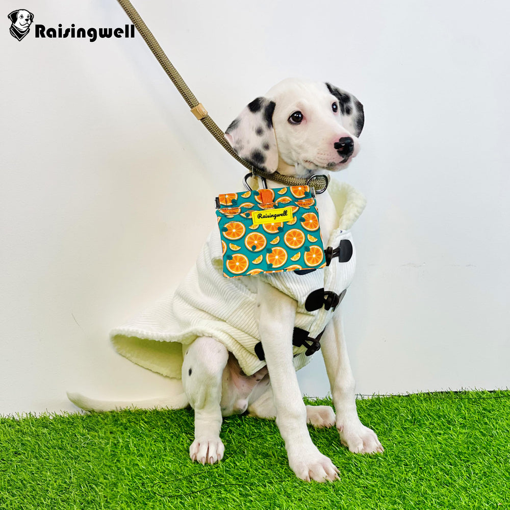 Raisingwell pouch front pocket holds bags or tissues for quick cleanup