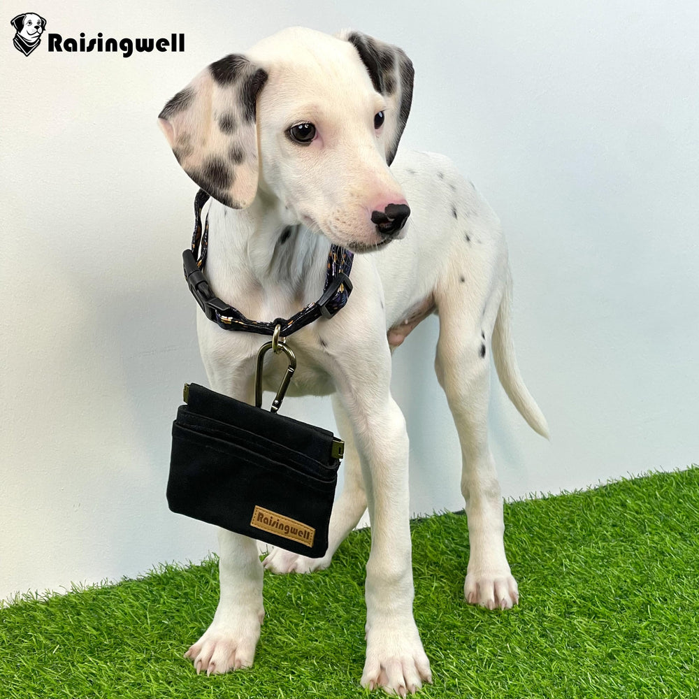 Raisingwell pouch front-pocket storage fits bags or tissues during trips.