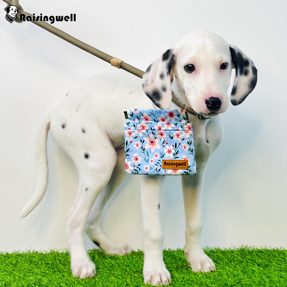 Raisingwell dog treat pouch includes a front pocket for bags or tissues
