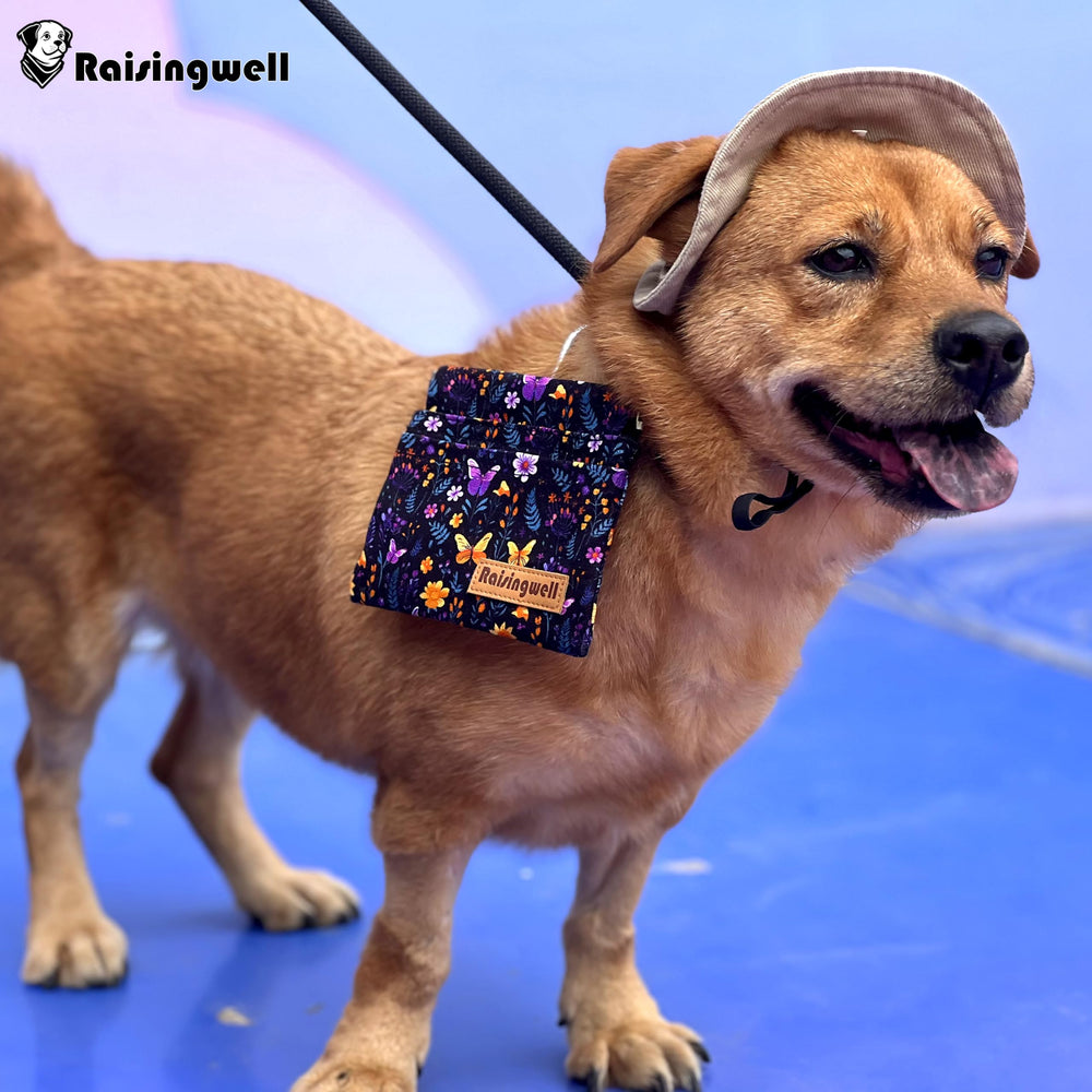 Raisingwell on-the-go pouch in use during dog walk