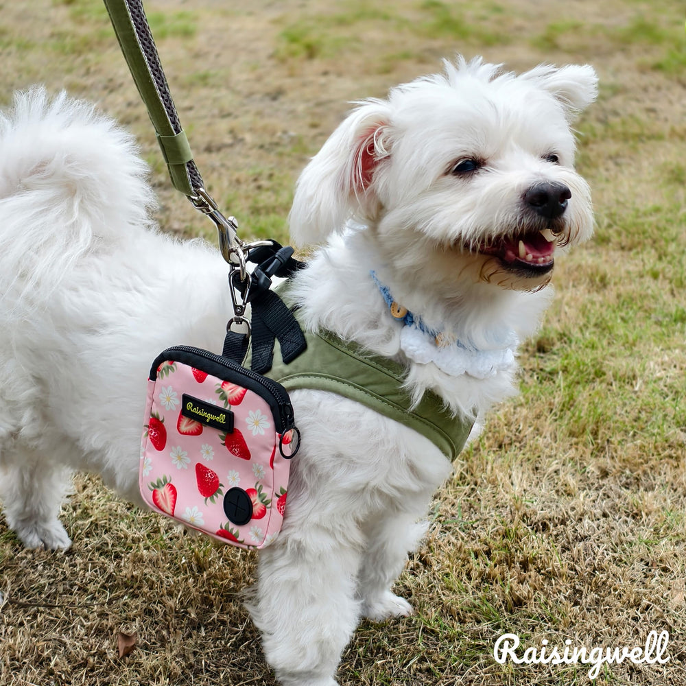 Raisingwell dog treat pouch strawberry park-use in action highlights portability.