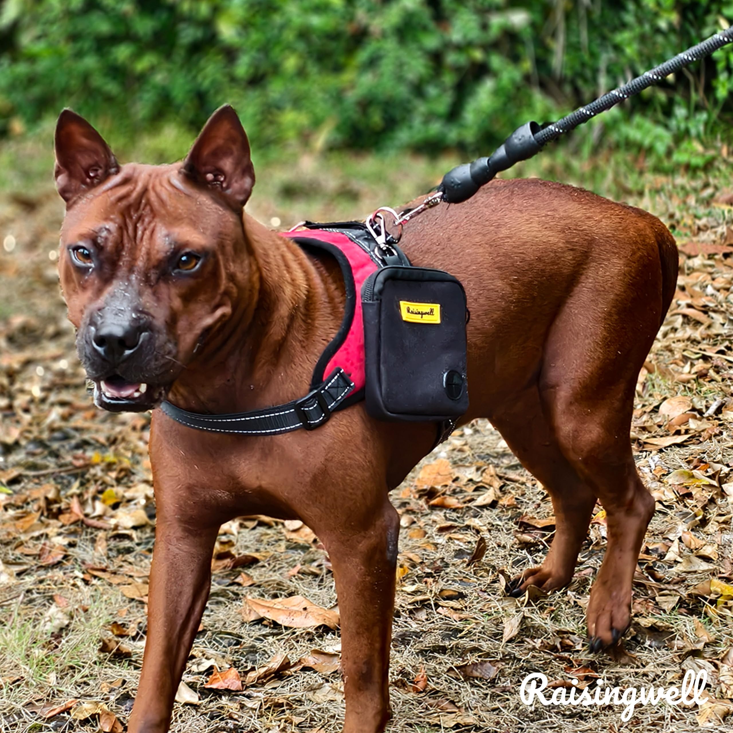 Raisingwell dog treat pouch washable fabric for easy cleaning after adventures.