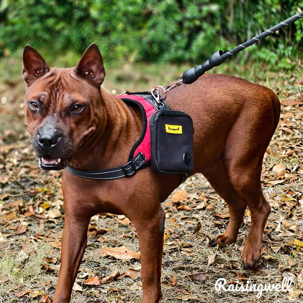 Raisingwell dog treat pouch washable fabric for easy cleaning after adventures.