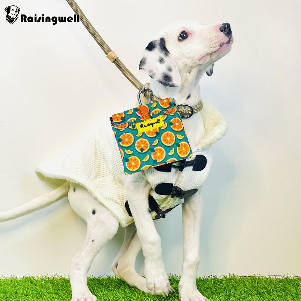 Raisingwell dog treat pouch is washable and durable for daily use