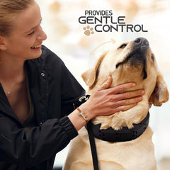 Ram-Pro bark collar waterproof design highlights reliable performance in wet weather