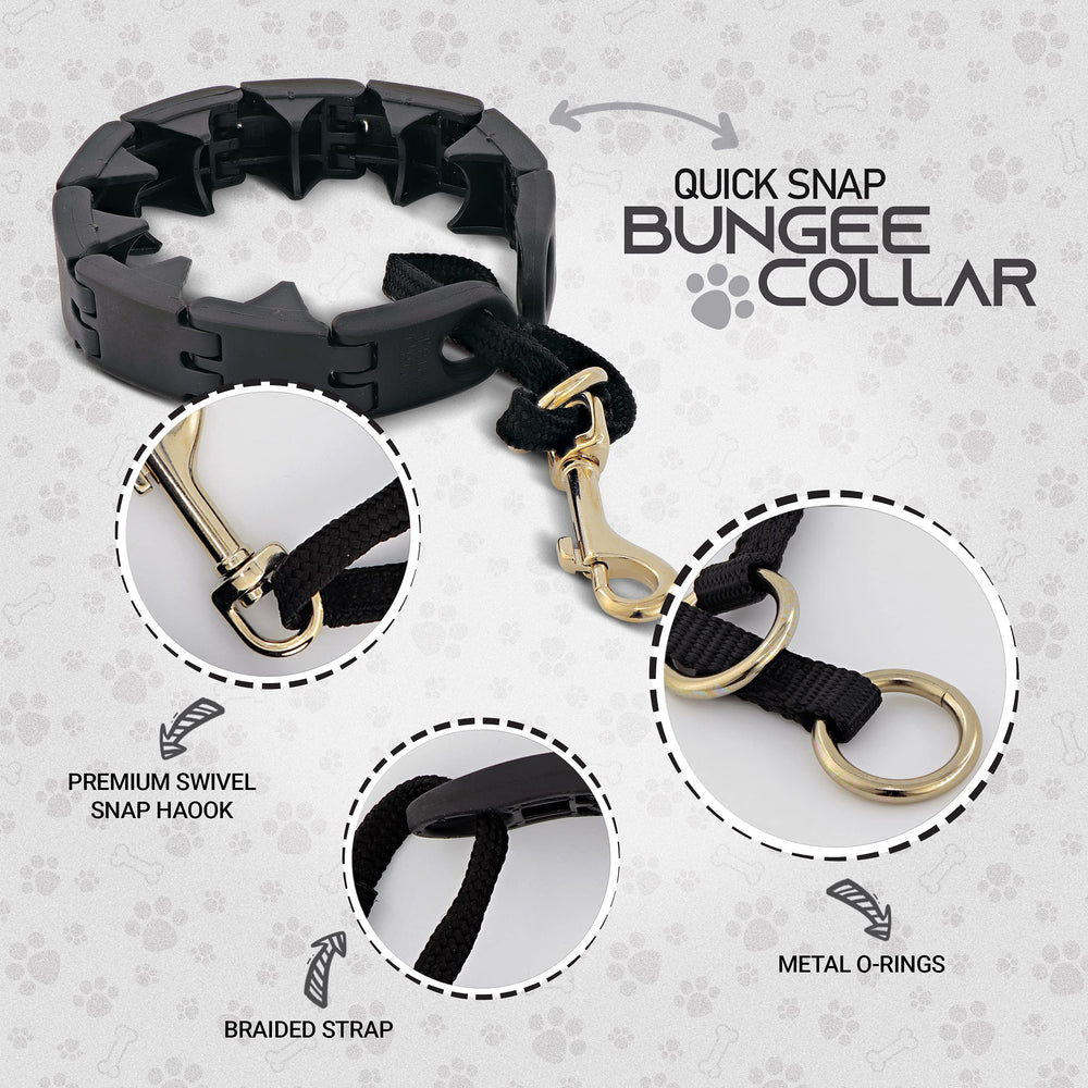 Ram-Pro collar-urban-training-wear demonstrates reliable daily use for obedience in real environments