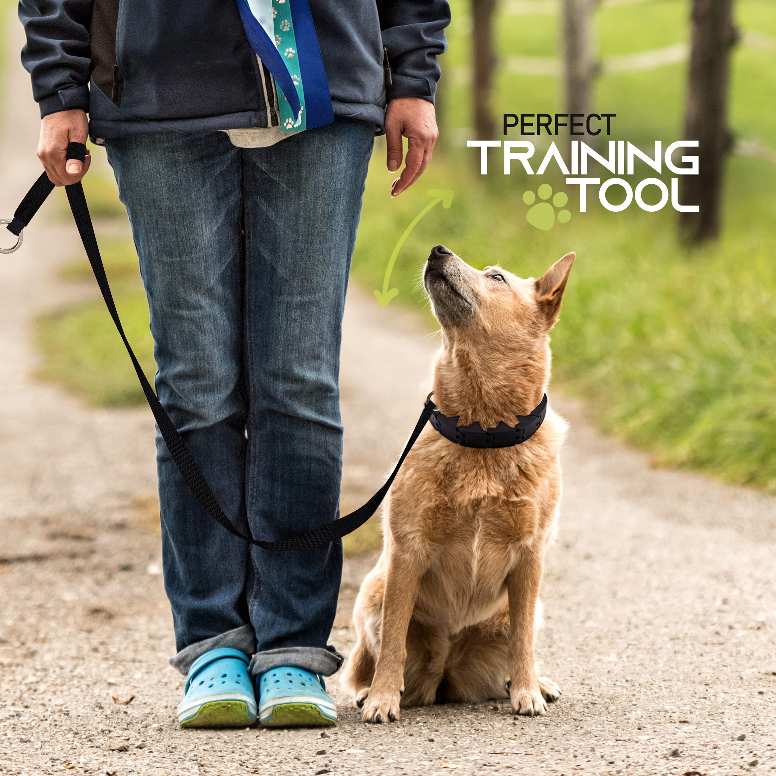 Ram-Pro training collar supports comfortable, adjustable training for puppies and small dogs