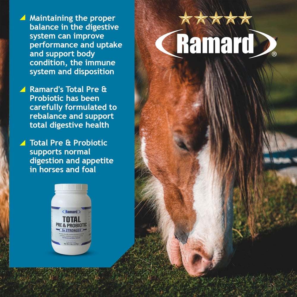 Ramard Total Prebiotic & Probiotic Equine Formula close view of powder blending with feed for better absorption