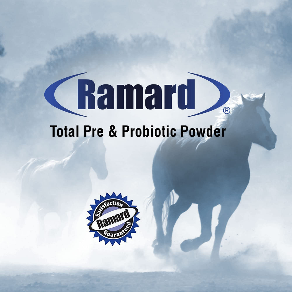 Ramard Total Prebiotic & Probiotic Equine Formula in stable setting illustrating consistent daily supplementation