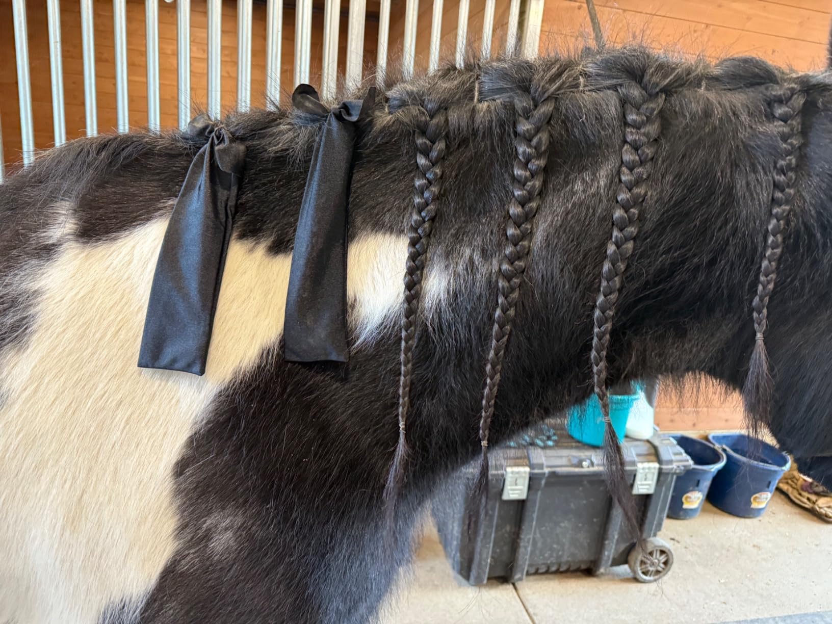Ranch Hand Mane Bags set of six in black for versatile use